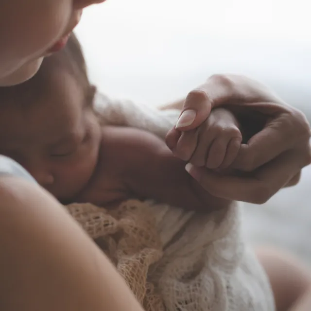 trx-for-the-postnatal-athlete-digital-course-corso-online-postpartum image 1