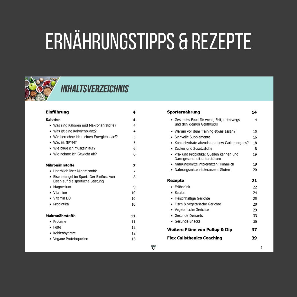 pullup-dip-ultimate-calisthenics-guide-bundle-4-guide-in-inglese image 4